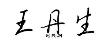 王正良王丹生行書個性簽名怎么寫