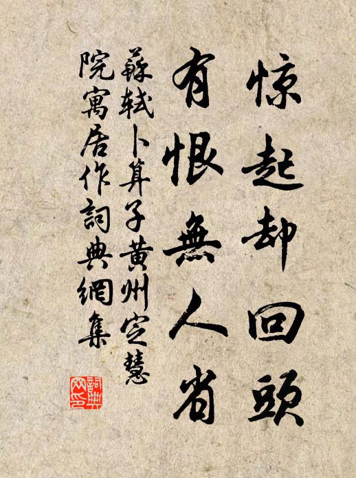 蘇軾驚起卻回頭,有恨無人省。書法作品欣賞