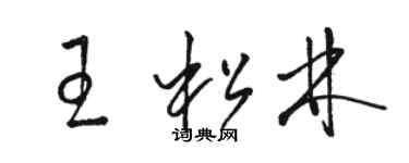 駱恆光王松林草書個性簽名怎么寫