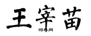 翁闓運王宰苗楷書個性簽名怎么寫