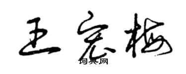 曾慶福王宏梅草書個性簽名怎么寫