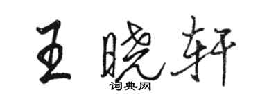 駱恆光王曉軒行書個性簽名怎么寫