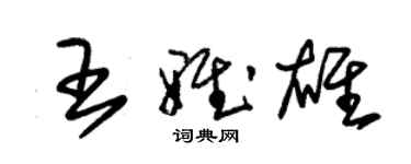 朱錫榮王雅雄草書個性簽名怎么寫