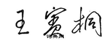 駱恆光王賓桐草書個性簽名怎么寫