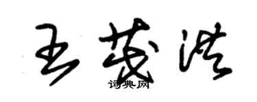 朱錫榮王茂洪草書個性簽名怎么寫