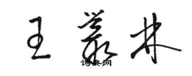 駱恆光王叢林草書個性簽名怎么寫