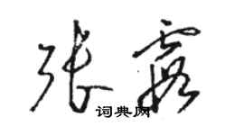 駱恆光張霞草書個性簽名怎么寫