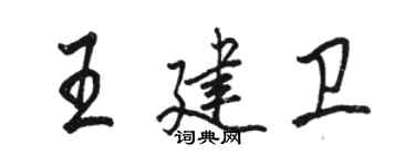 駱恆光王建衛行書個性簽名怎么寫