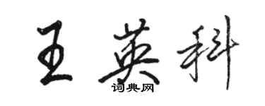 駱恆光王英科行書個性簽名怎么寫