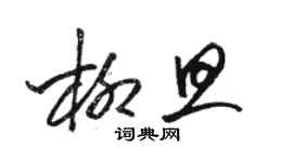 駱恆光柳旦草書個性簽名怎么寫