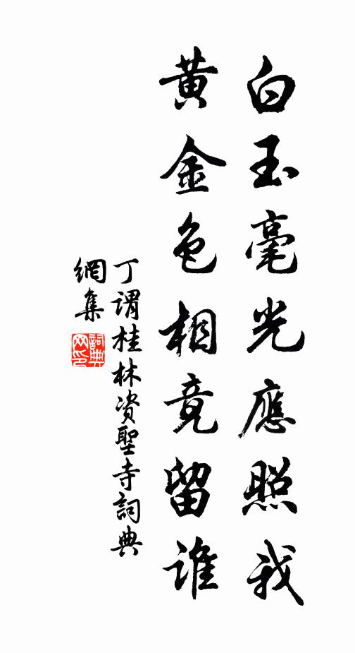 茨茹荷葉認零星 詩詞名句