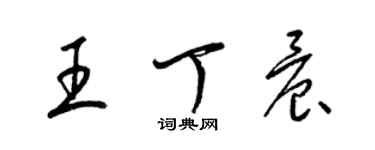 梁錦英王丁晨草書個性簽名怎么寫