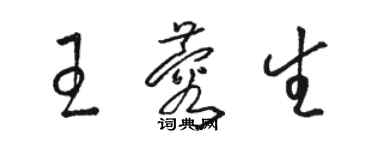 駱恆光王蓉生草書個性簽名怎么寫