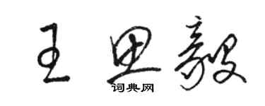 駱恆光王思毅草書個性簽名怎么寫