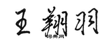 駱恆光王翔羽行書個性簽名怎么寫