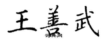 丁謙王善武楷書個性簽名怎么寫