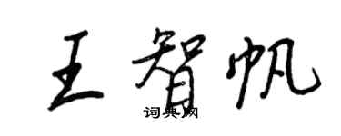 王正良王智帆行書個性簽名怎么寫