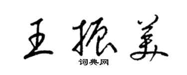 梁錦英王振美草書個性簽名怎么寫