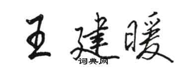 駱恆光王建暖行書個性簽名怎么寫