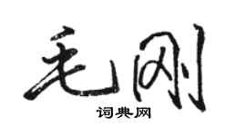 駱恆光毛剛行書個性簽名怎么寫