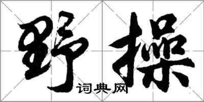 胡問遂野操行書怎么寫