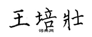 何伯昌王培壯楷書個性簽名怎么寫