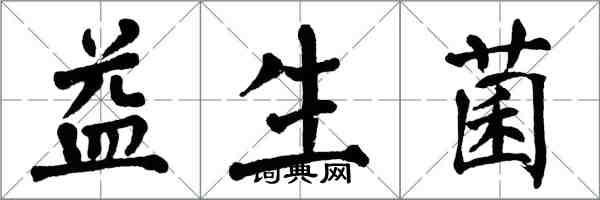 翁闓運益生菌楷書怎么寫