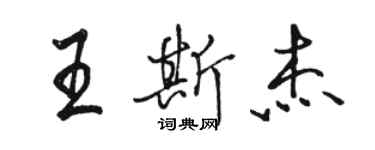 駱恆光王斯傑行書個性簽名怎么寫