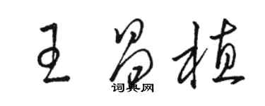 駱恆光王昌植草書個性簽名怎么寫