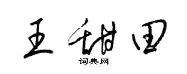 梁錦英王甜田草書個性簽名怎么寫