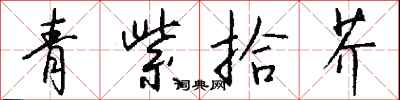 錢沛雲青紫拾芥行書怎么寫