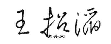 駱恆光王招滔草書個性簽名怎么寫