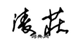 朱錫榮凌莊草書個性簽名怎么寫