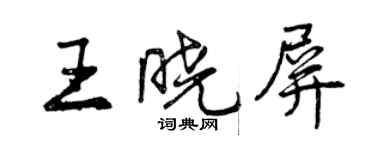 曾慶福王曉屏行書個性簽名怎么寫