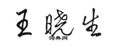 駱恆光王曉生行書個性簽名怎么寫