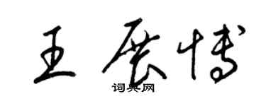 梁錦英王展博草書個性簽名怎么寫