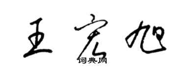 梁錦英王宏旭草書個性簽名怎么寫