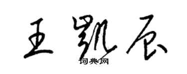 梁錦英王凱辰草書個性簽名怎么寫