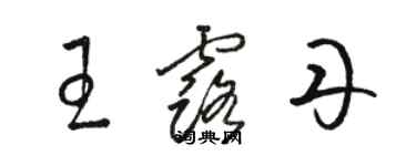 駱恆光王露丹草書個性簽名怎么寫