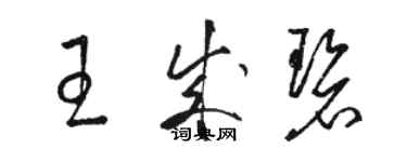 駱恆光王成碧草書個性簽名怎么寫