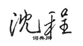 駱恆光沈程行書個性簽名怎么寫