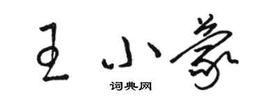 駱恆光王小蒙草書個性簽名怎么寫