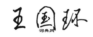 駱恆光王國環行書個性簽名怎么寫