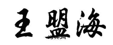 胡問遂王盟海行書個性簽名怎么寫