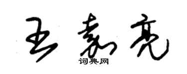 朱錫榮王嘉亮草書個性簽名怎么寫