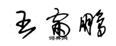 朱錫榮王雷鵬草書個性簽名怎么寫