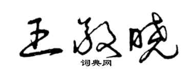 曾慶福王敬曉草書個性簽名怎么寫