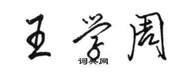 駱恆光王學周行書個性簽名怎么寫