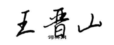 王正良王晉山行書個性簽名怎么寫