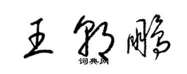 梁錦英王朝鵬草書個性簽名怎么寫